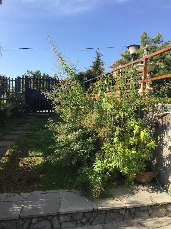 13 Via Pavone Villa Zafferana Etnea Bagian luar foto